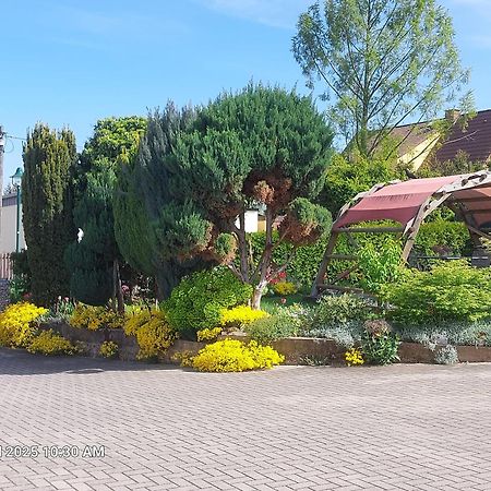 Ferienwohnung Bienwald Mit Pool Fuer 4 - 6 Personen Mit 3 Schlafzimmern Grobitz Екстериор снимка